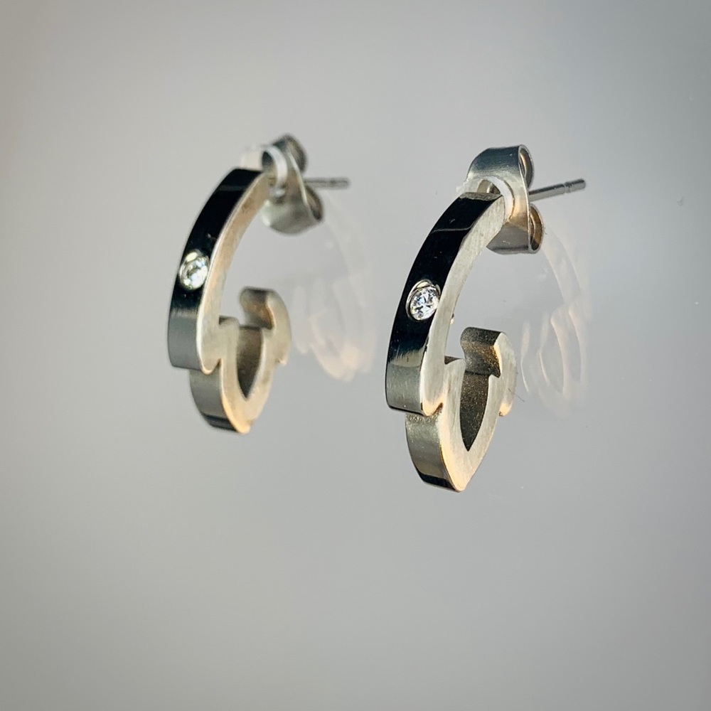 Stainless Steel Zirconia Earrings